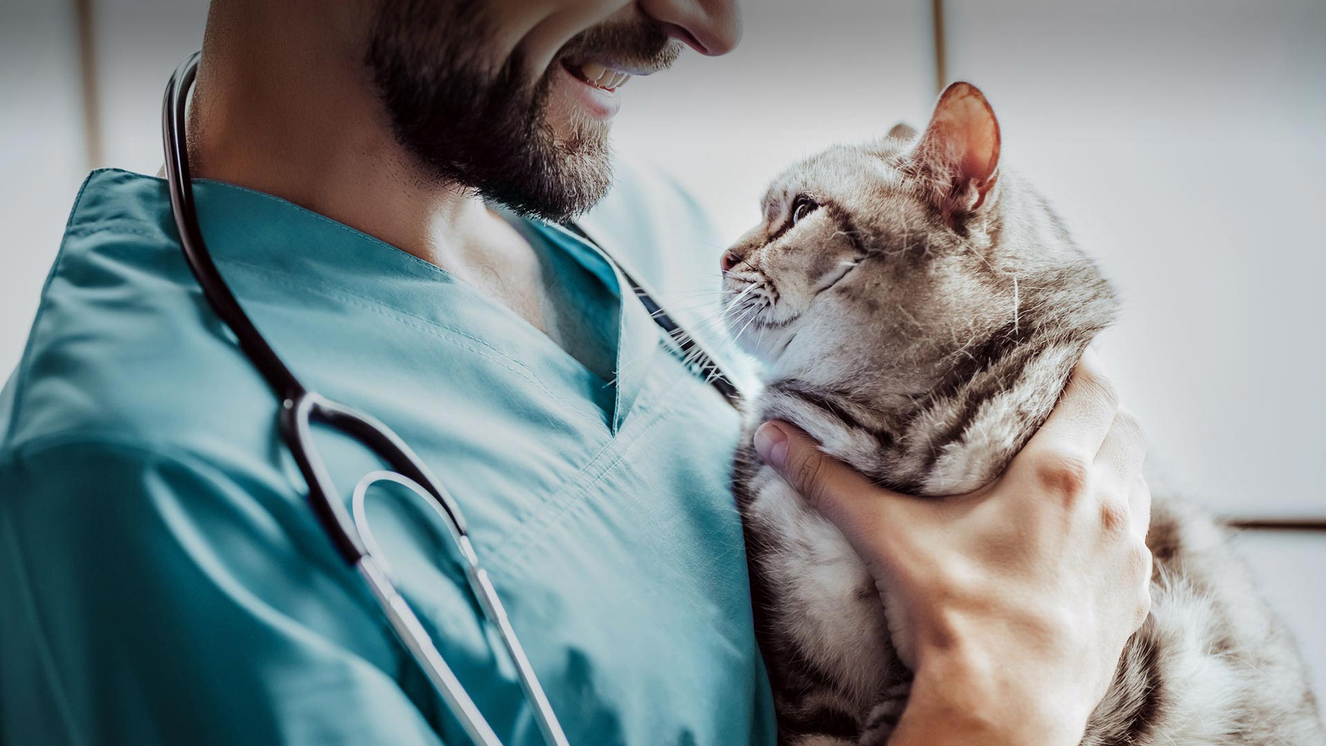 Muratpaşa Veteriner